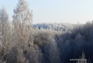 phoca_thumb_l_foto_1