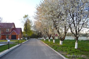 phoca_thumb_l_foto_2